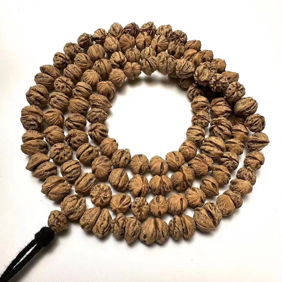 【诸葛多宝】热振原桩红芽横打半壁双胞胎三胞胎多宝柏香籽百香籽