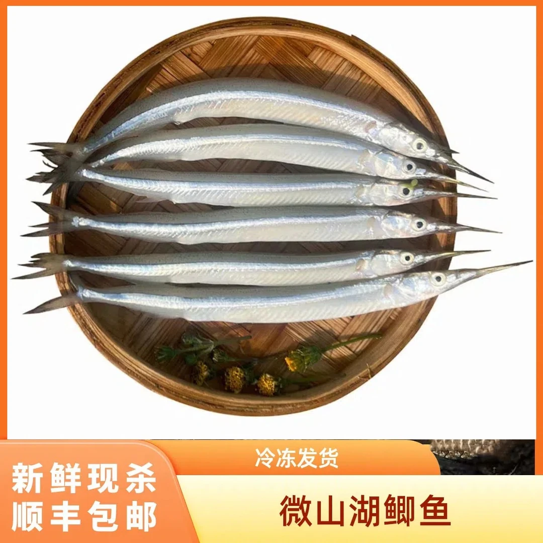 微山湖生态麻婆鱼淡水鱼