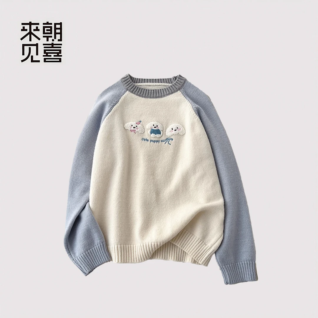 插肩袖刺绣毛衣设计感韩版洋气小众不撞衫复古秋冬法式50255