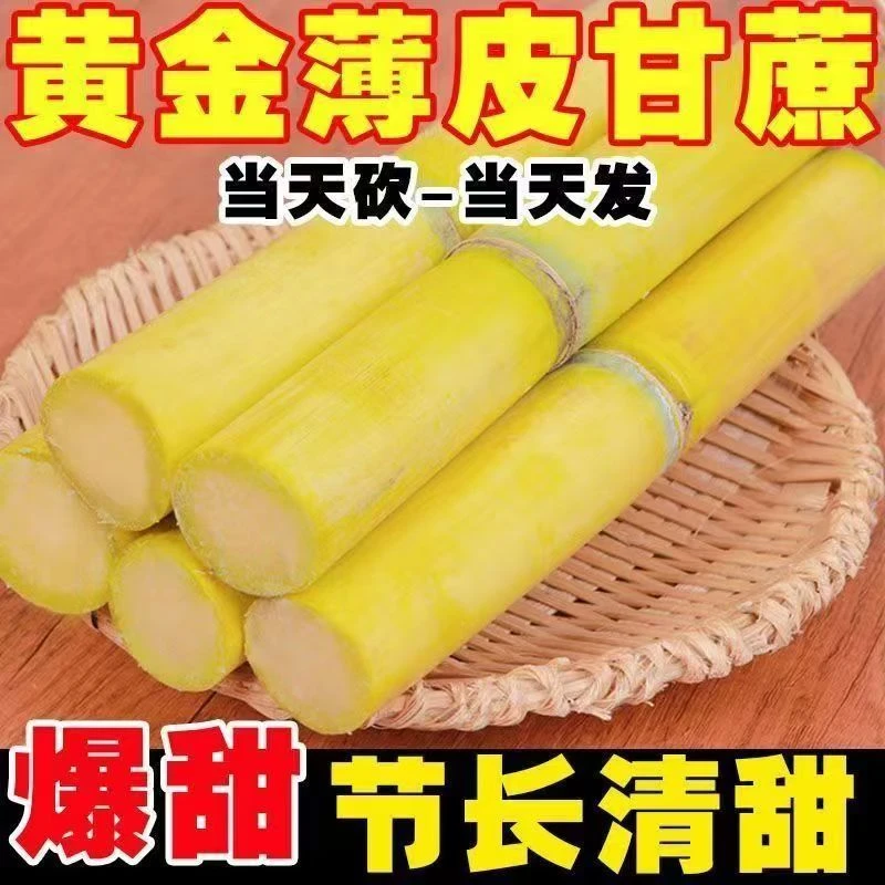 云南黄金甘蔗农家自种新鲜应季水果现砍中段口感清甜多汁果肉脆爽