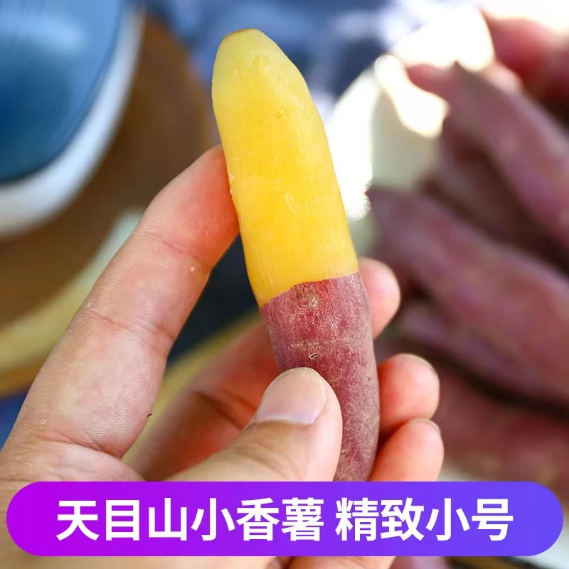 临安天目山小香薯手指薯新鲜农家自种红薯地瓜5斤红薯小香薯皮薄