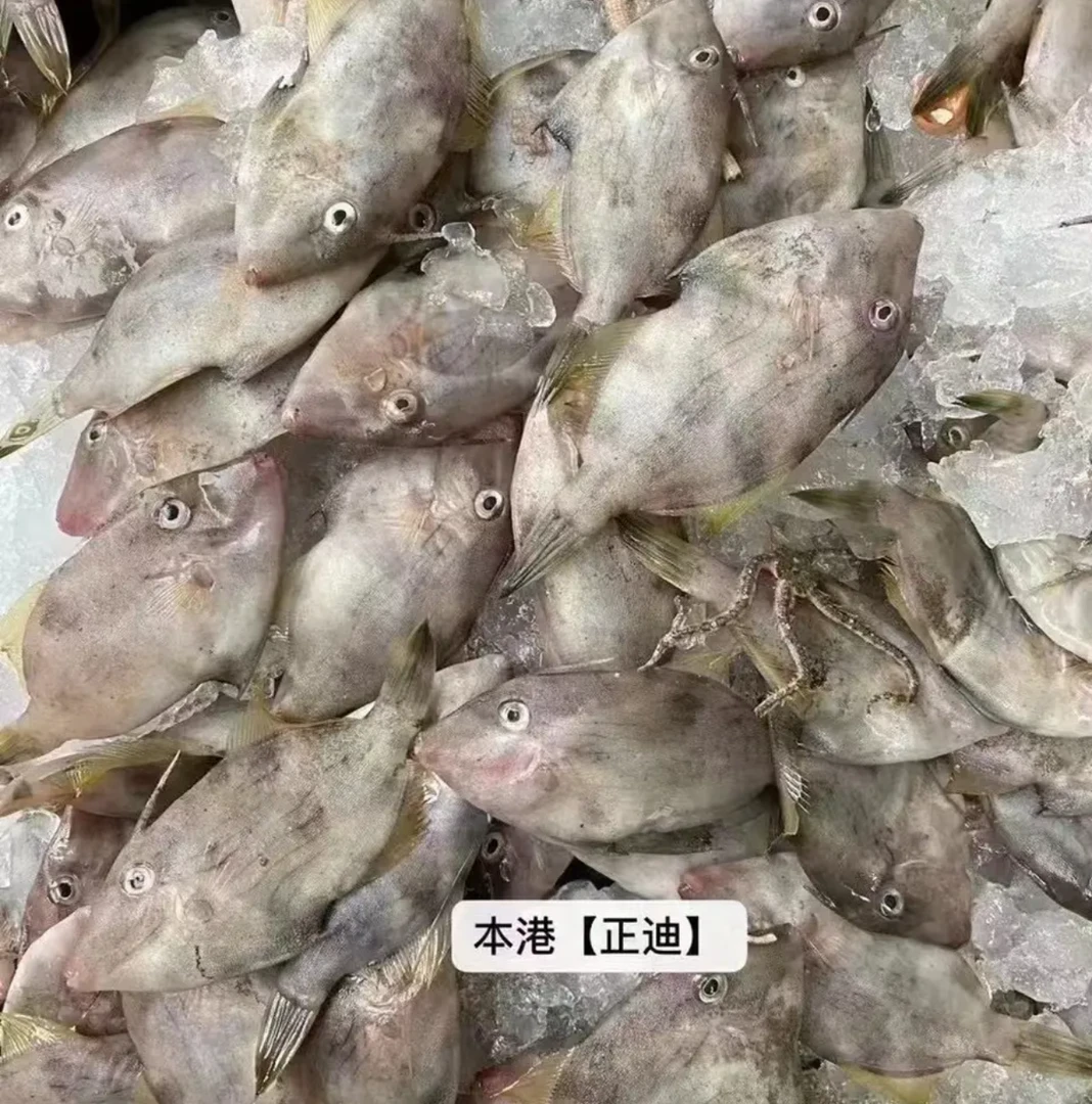 惠来神泉本港扒皮鱼。