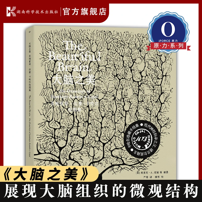 大脑之美 诺奖得主卡哈尔82幅手绘作品，科学与艺术的经典之作