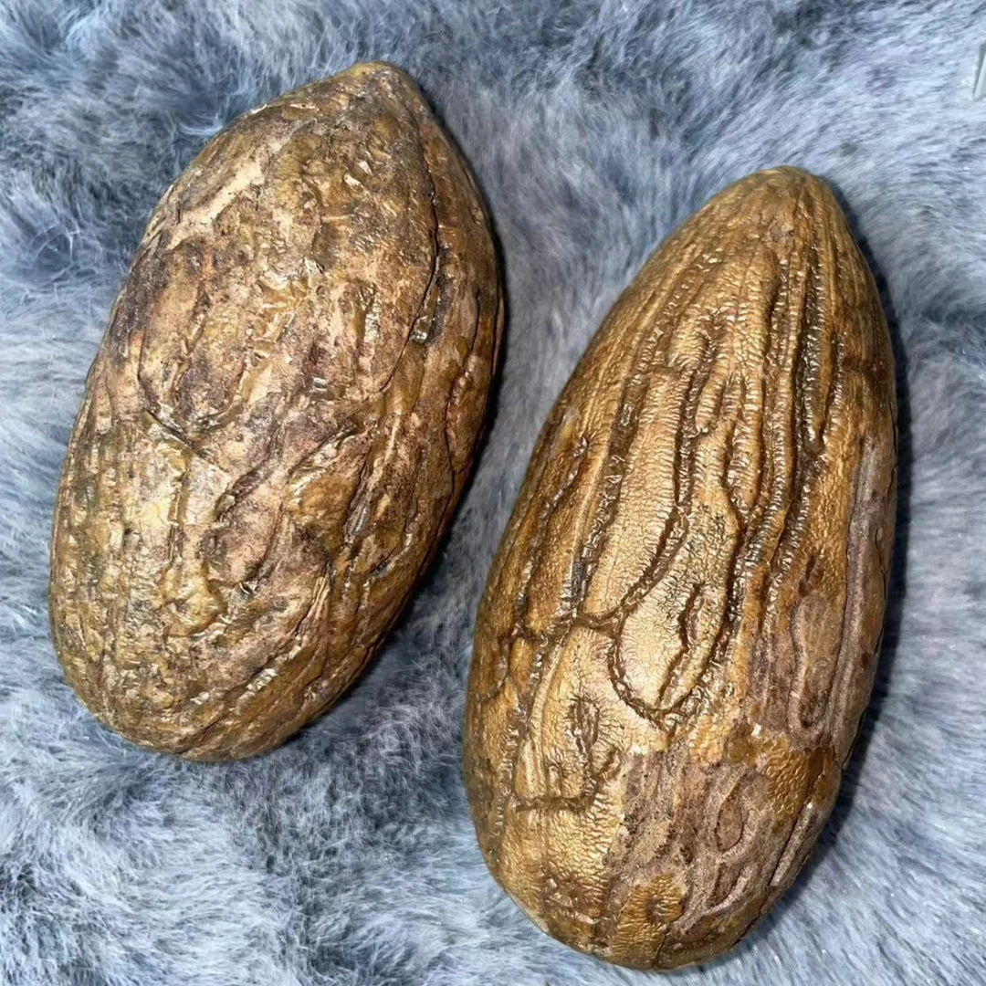 千眼大白果【开果不退】