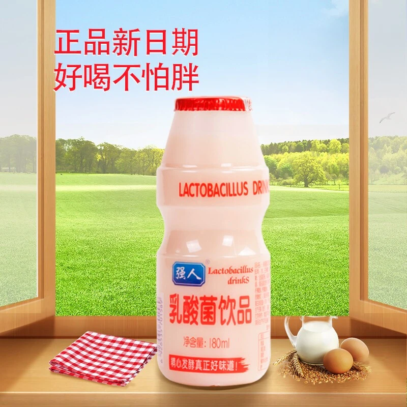强人乳酸菌儿童早餐发酵优质益生菌含乳饮料180ml*24瓶大瓶/箱