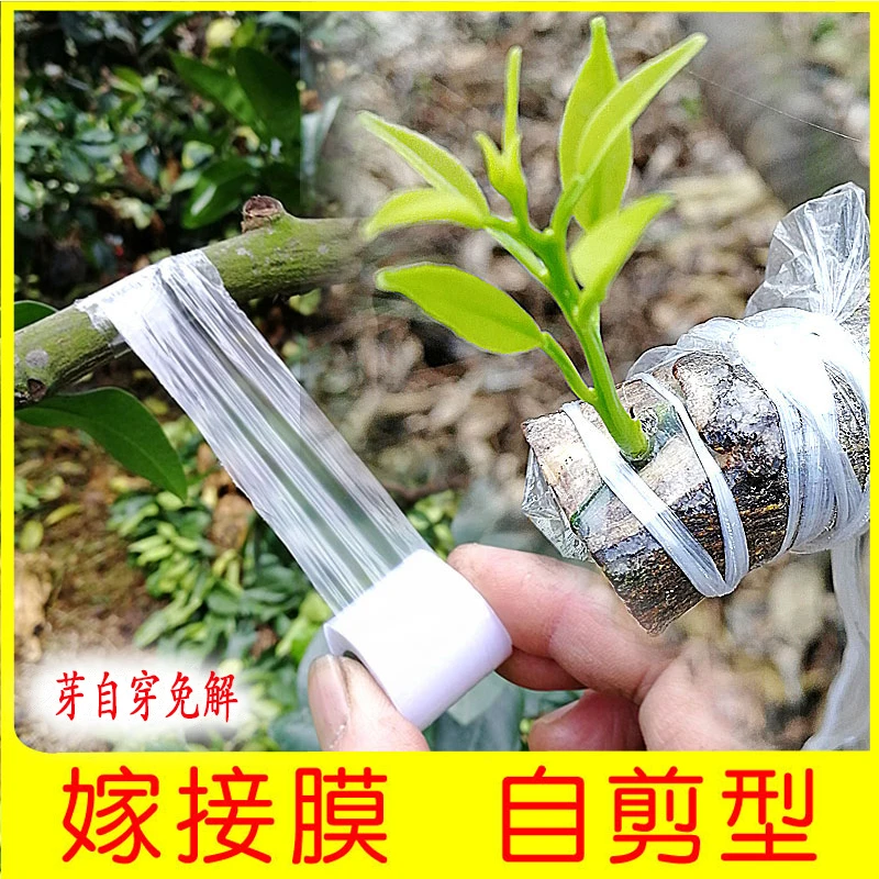 果树嫁接膜自剪型嫁接专用膜可降解超薄款塑料膜芽接打结通用薄膜