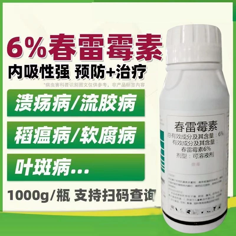 6%春雷霉素 杀菌剂 角斑病稻瘟病软腐病流胶病穿孔病柑橘溃疡病