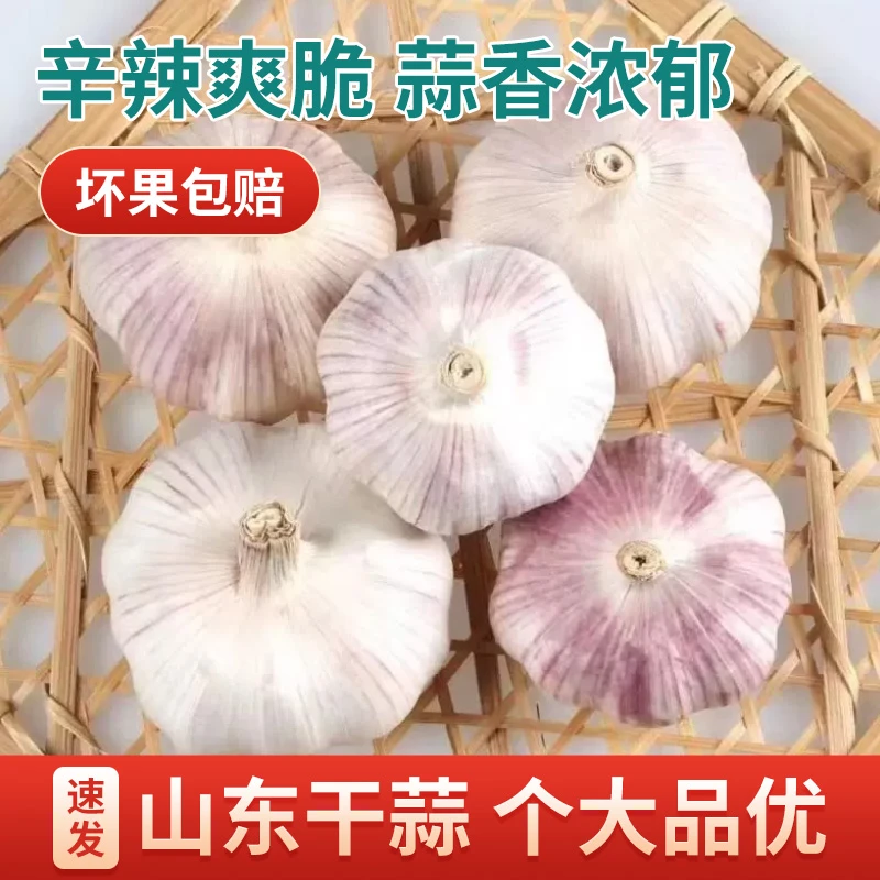 【山东大蒜】24年十足新干蒜产地直供紫白皮自然晾晒蒜香味浓郁个大