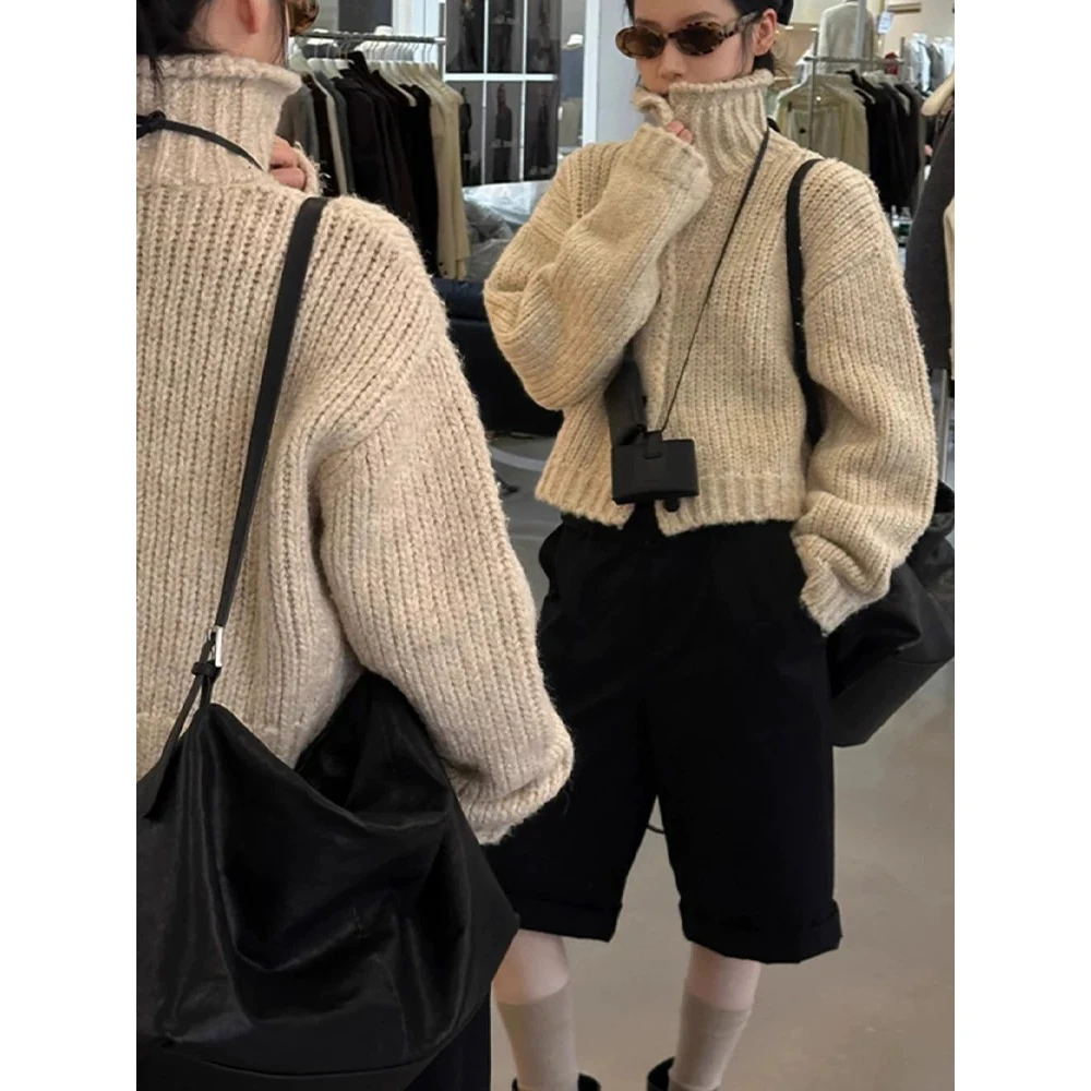 小个子设计感粗毛线高领单排扣毛衣外套秋冬温柔风针织开衫2830