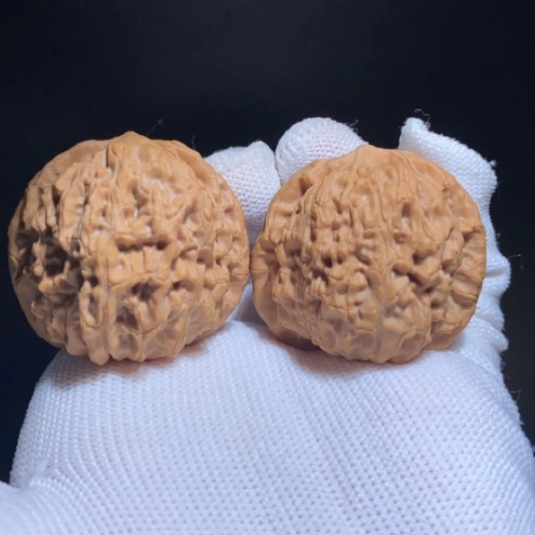 野生原树马老四狮子头边40肚38高36