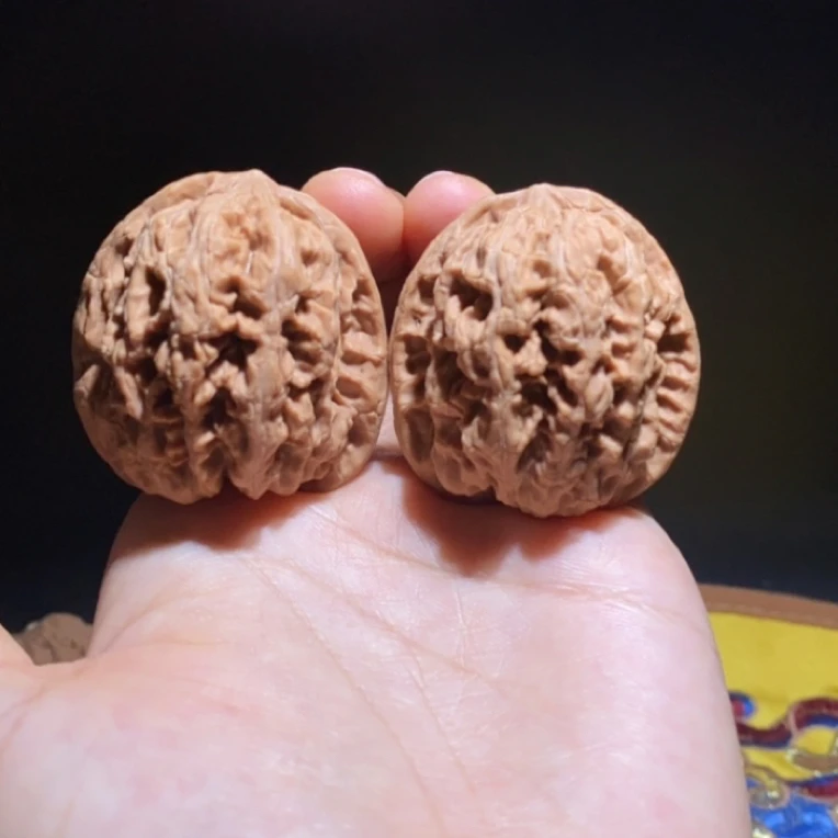 全品山地将军膀狮子头边42肚41高44