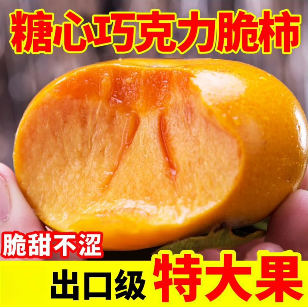 【直接吃爆甜】巧克力脆柿新鲜水果脆柿子脆甜柿子冰糖心硬柿子
