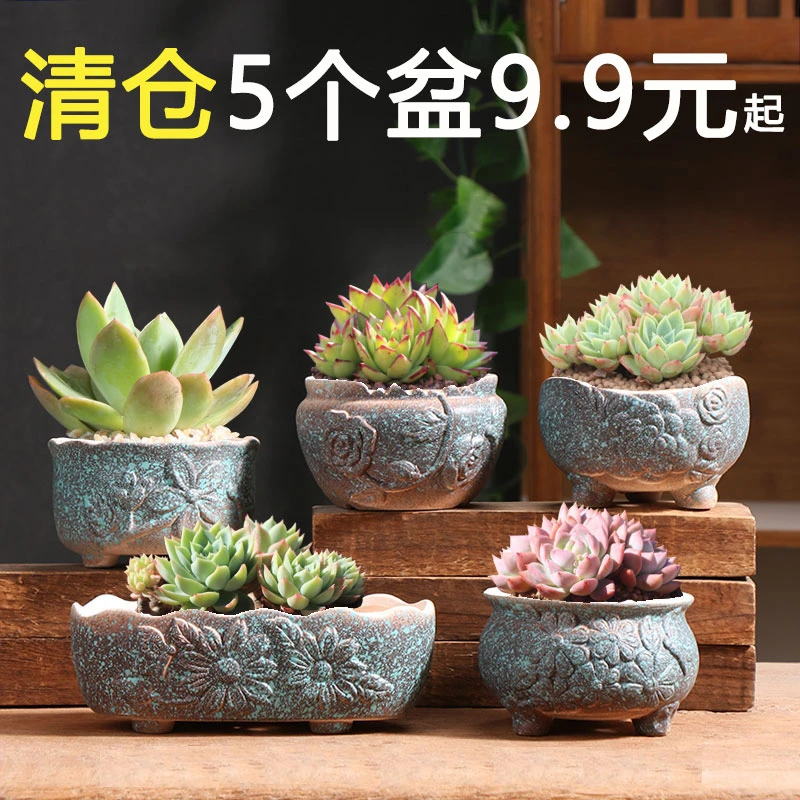 多肉花盆陶瓷网红家用大小号陶土复古专用肉肉植物盆批发清仓捡漏