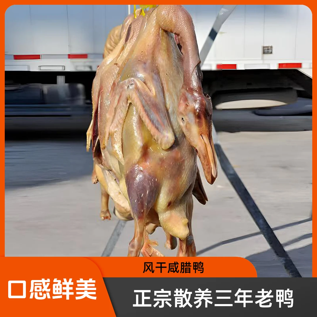 老鸭子 正宗散养三年老鸭风干咸腊鸭