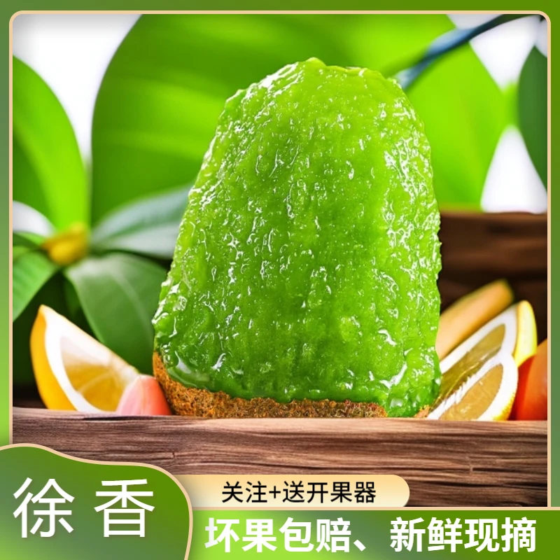 【徐香】周至猕猴桃（坏果包赔）当季香甜鲜果营养丰富产地现摘发货