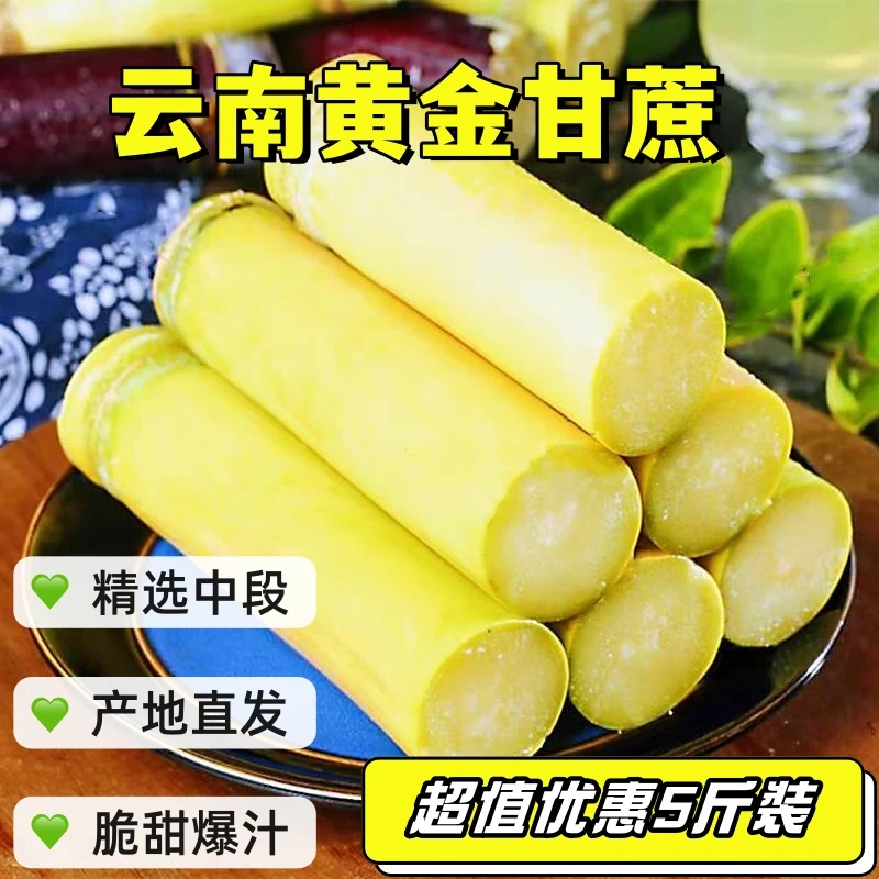 云南黄金甘蔗黄皮甘蔗新鲜脆甜产地直发孕妇水果一件包邮