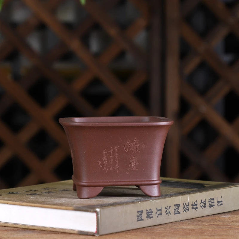 『刻绘/收腰小正方』暖暖精选紫砂小花盆 室内桌面绿植盆景盆花卉