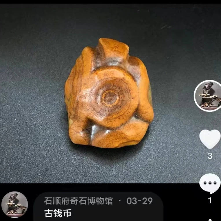 古钱币   戈壁奇石 钱币石