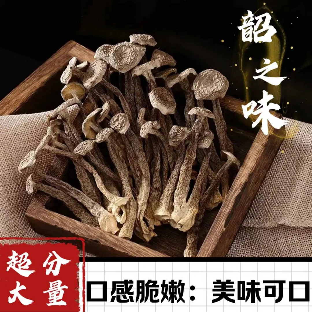 韶滋味寿宁高山鹿茸菇净含量180克泡水烹饪干净脆嫩煲汤鲜香