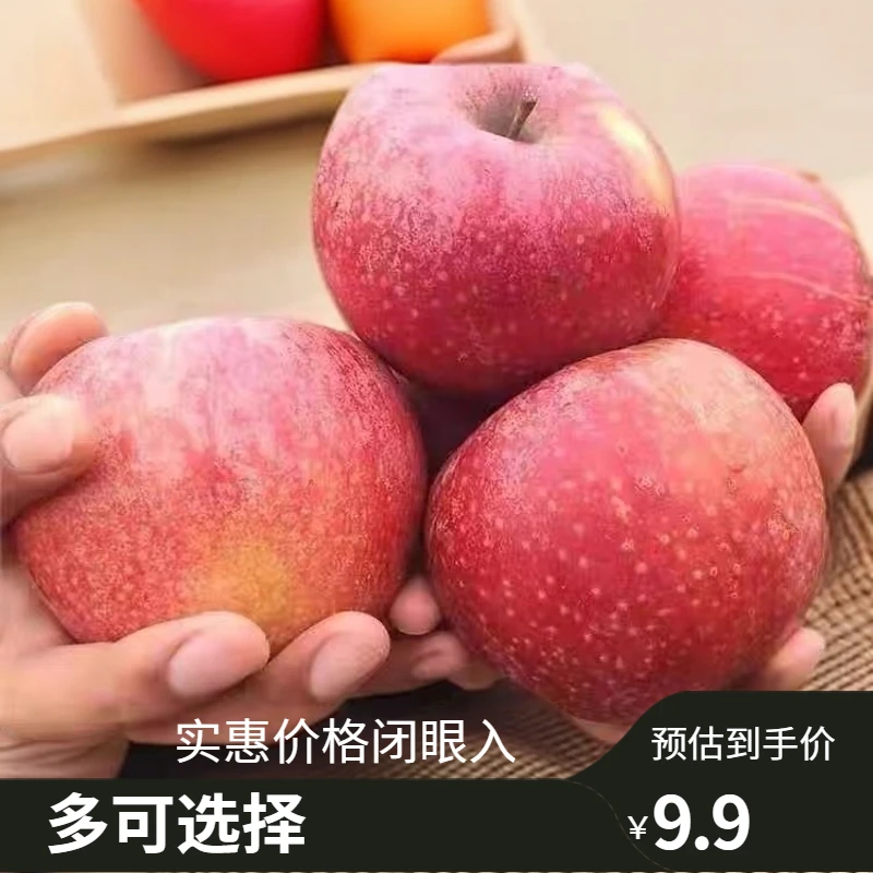 云南昭通正宗冰糖心苹果新鲜应当季水果现摘红富士萍果整箱1