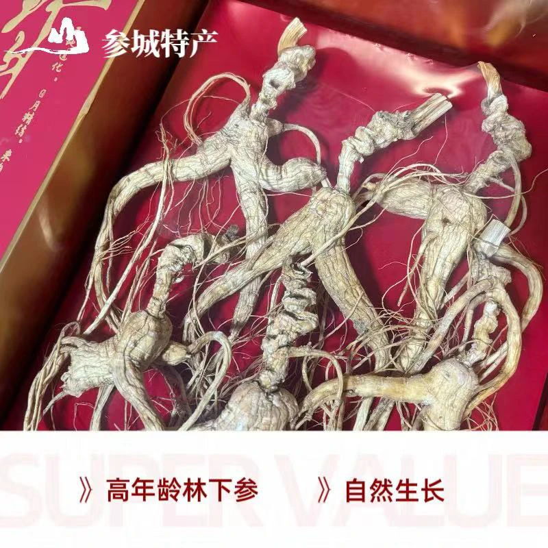 【高年头大个微残】长白山林 下参礼盒款送人煲汤泡水煮茶
