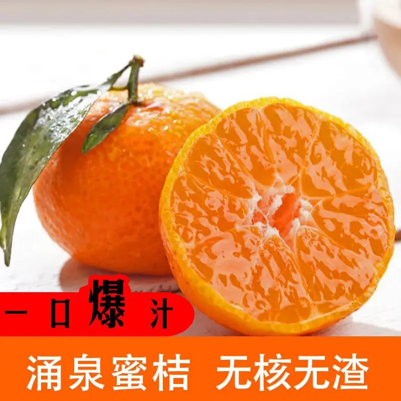 【上新】涌特爆橘 甜美可口（2斤）