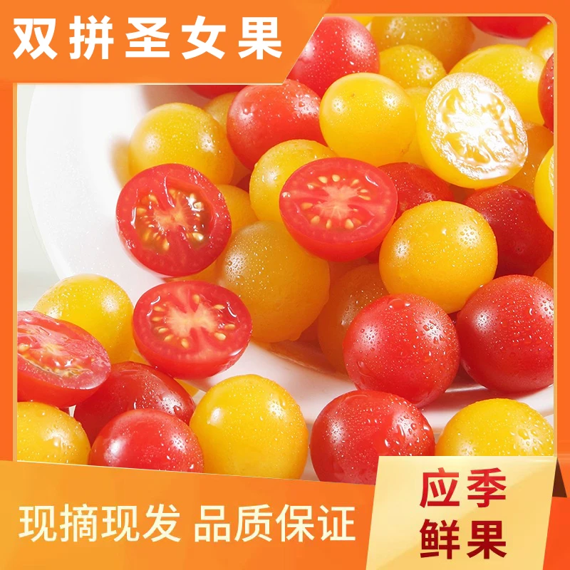 福建漳州圣女果小番茄新鲜水果酸甜多汁应季蔬果现摘现发