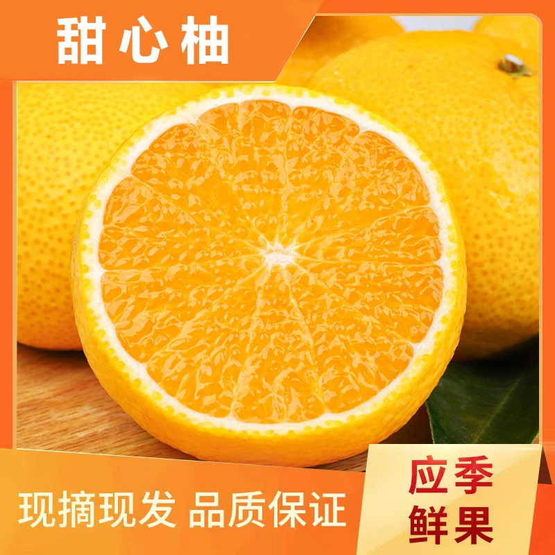 福建甜心柚现摘现发桔柚当季新鲜水果孕妇橘柚坏果包赔
