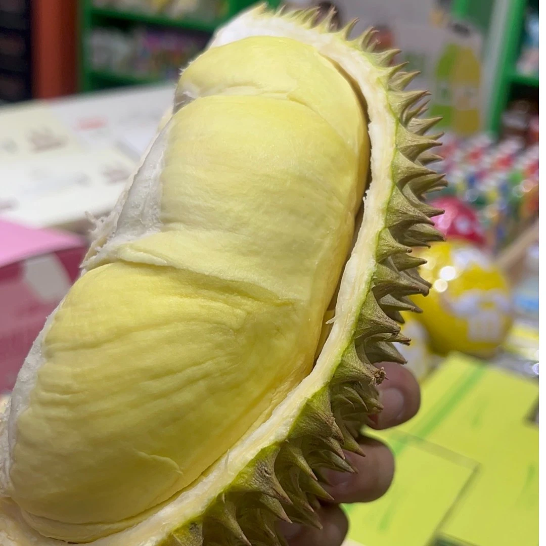 榴莲忘返 金枕榴莲 现开 1.6斤榴莲同城配