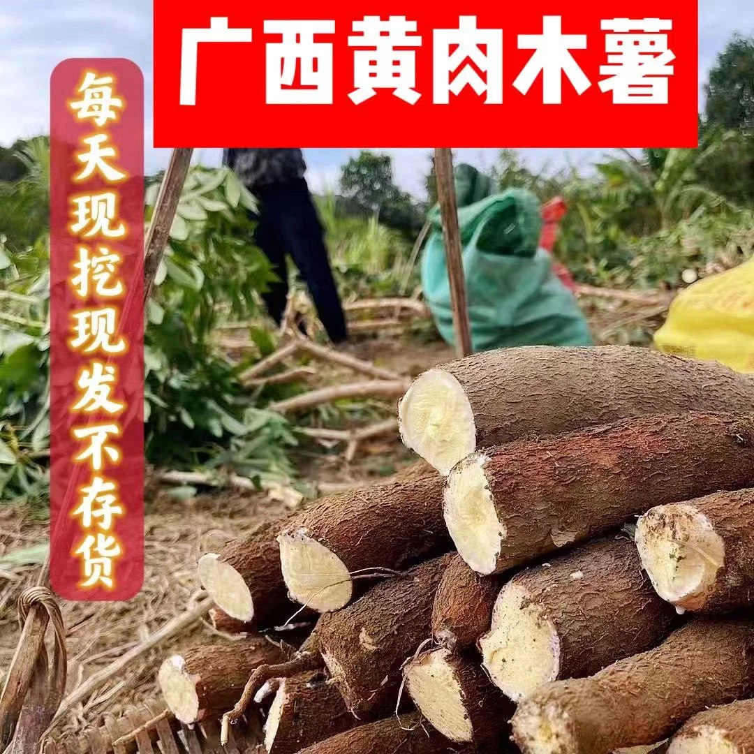 新鲜黄心木薯广西特产黄肉木薯羹奶茶糖水专用板栗面包木薯粉糯香