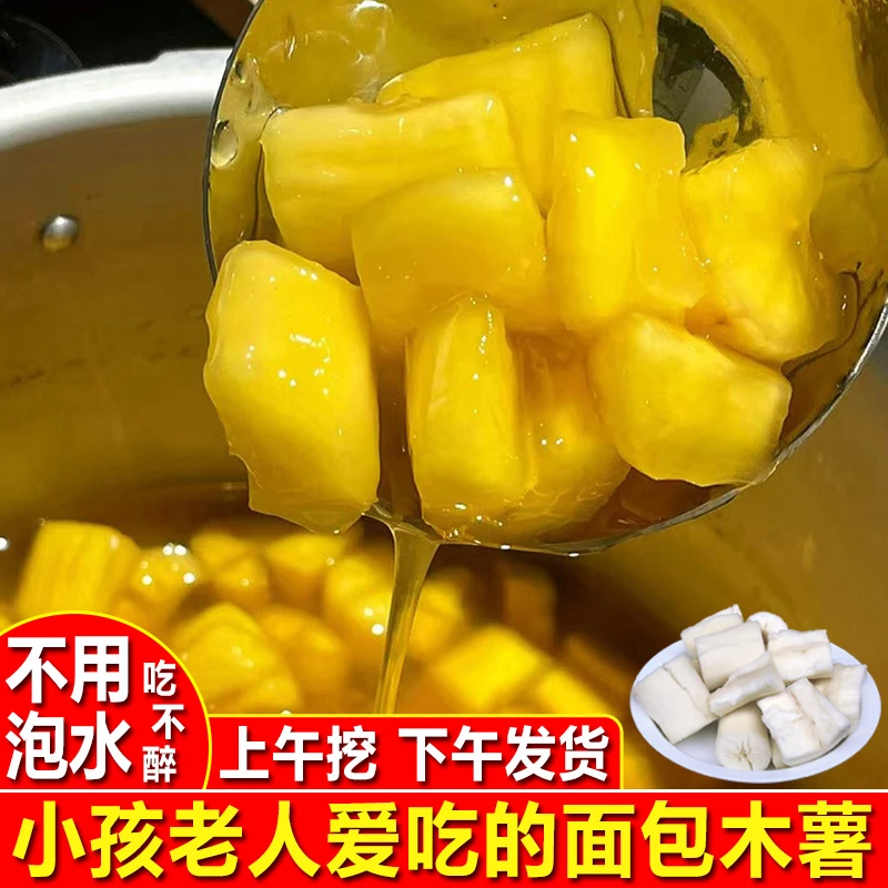 黄心木薯广西新鲜白肉板栗面包木薯正宗黄肉水果木薯糖水即食商用