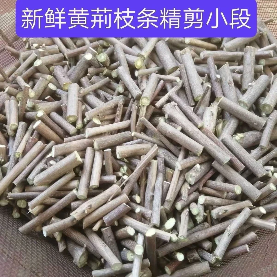 新鲜黄荆树枝五指枫牡荆枝布荆枝黄荆枝切段现采现发黄荆根茎枝条