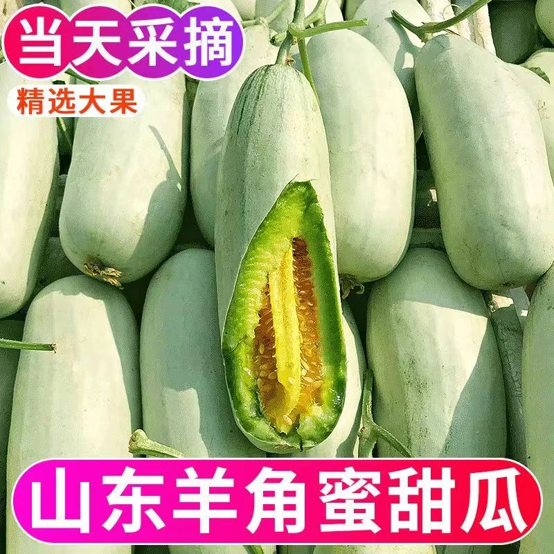 【产地直发】正宗羊角蜜甜瓜当季新鲜头茬羊角蜜水果香甜瓜整箱批发