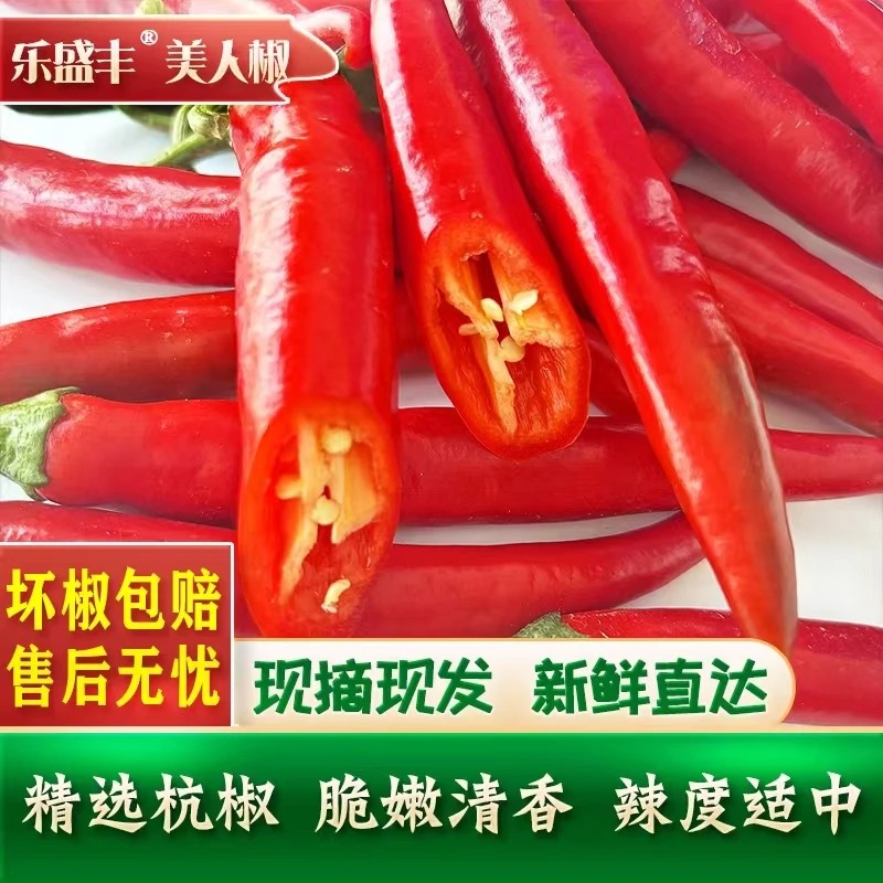 现摘现发红辣椒海尖椒红杭椒红美人辣妹子二荆条红线椒做剁椒泡椒