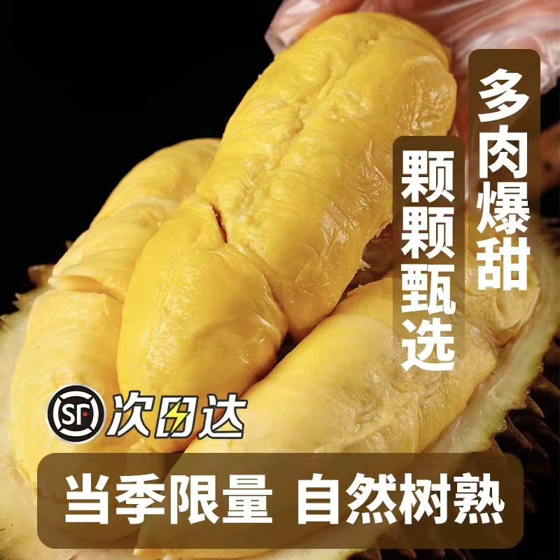 【直播专用链接1号】 现场开果 贵鲜达马来西亚D197猫山王榴莲 全市配送青岛次日达