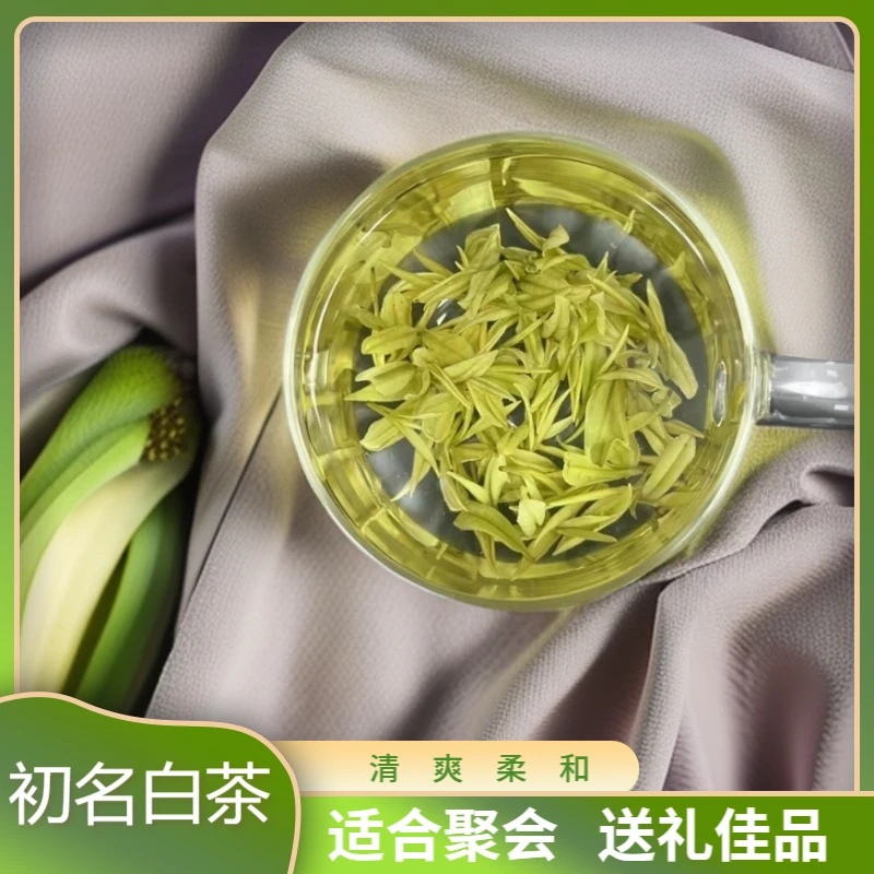 2025年浓香型新茶A368兰花香高山白茶罐装绿茶白化口感鲜茶叶