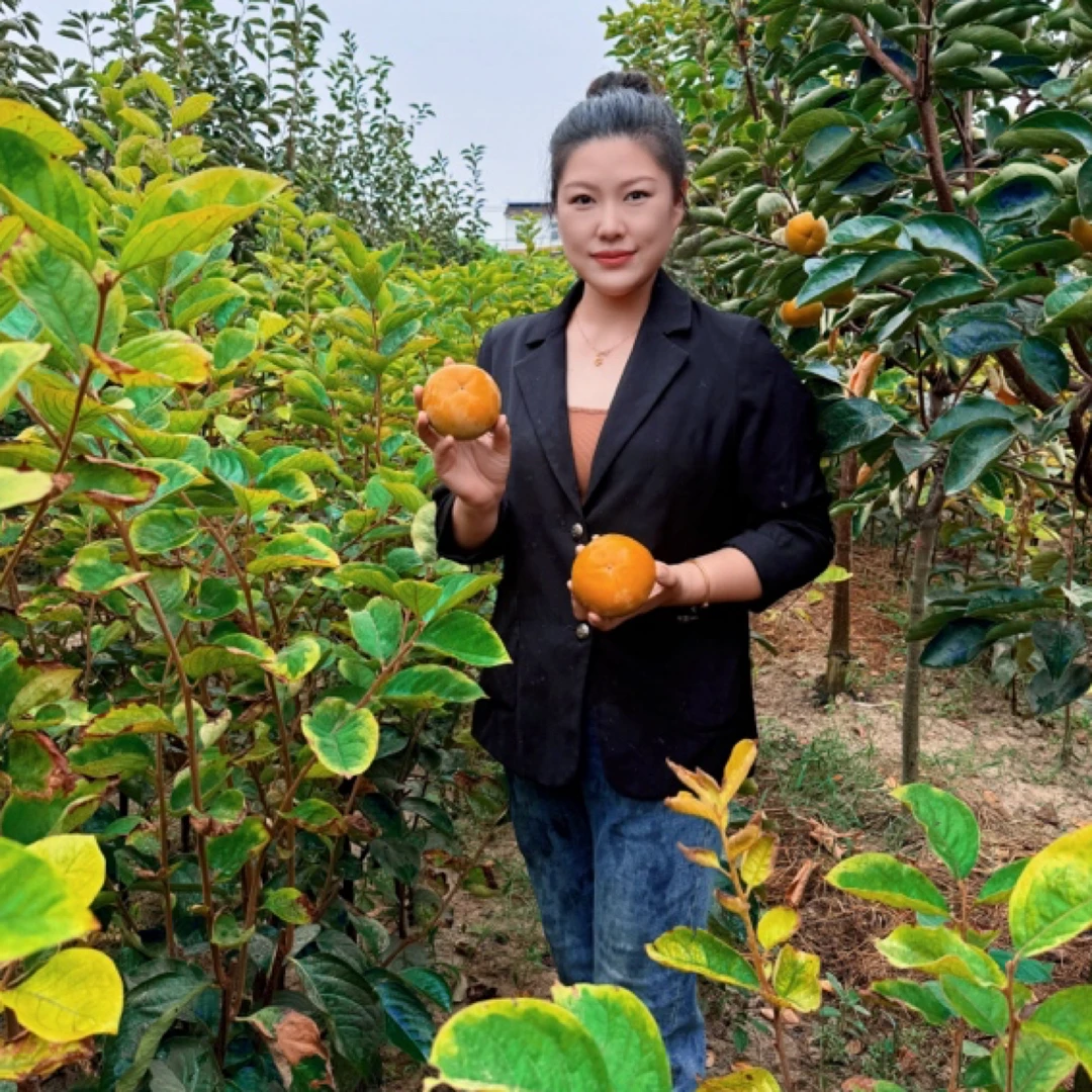 脆甜柿柿子果子嘎嘎甜