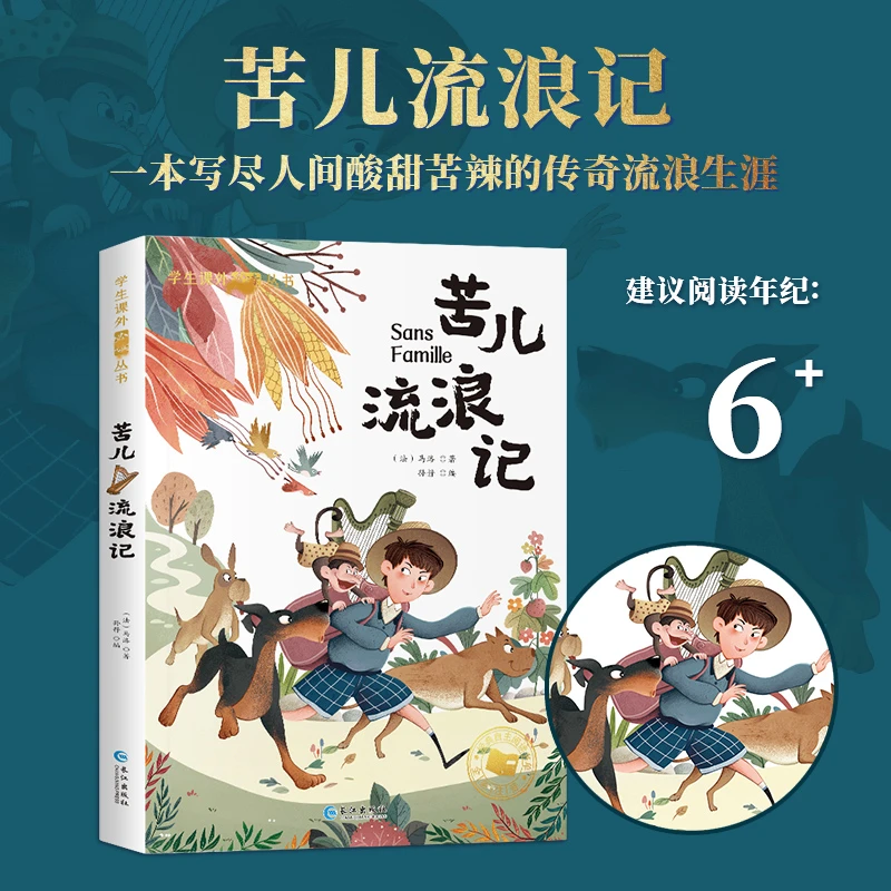 【妈妈团推荐】苦儿流浪记 彩绘注音送音频故事 小学生课外阅读书