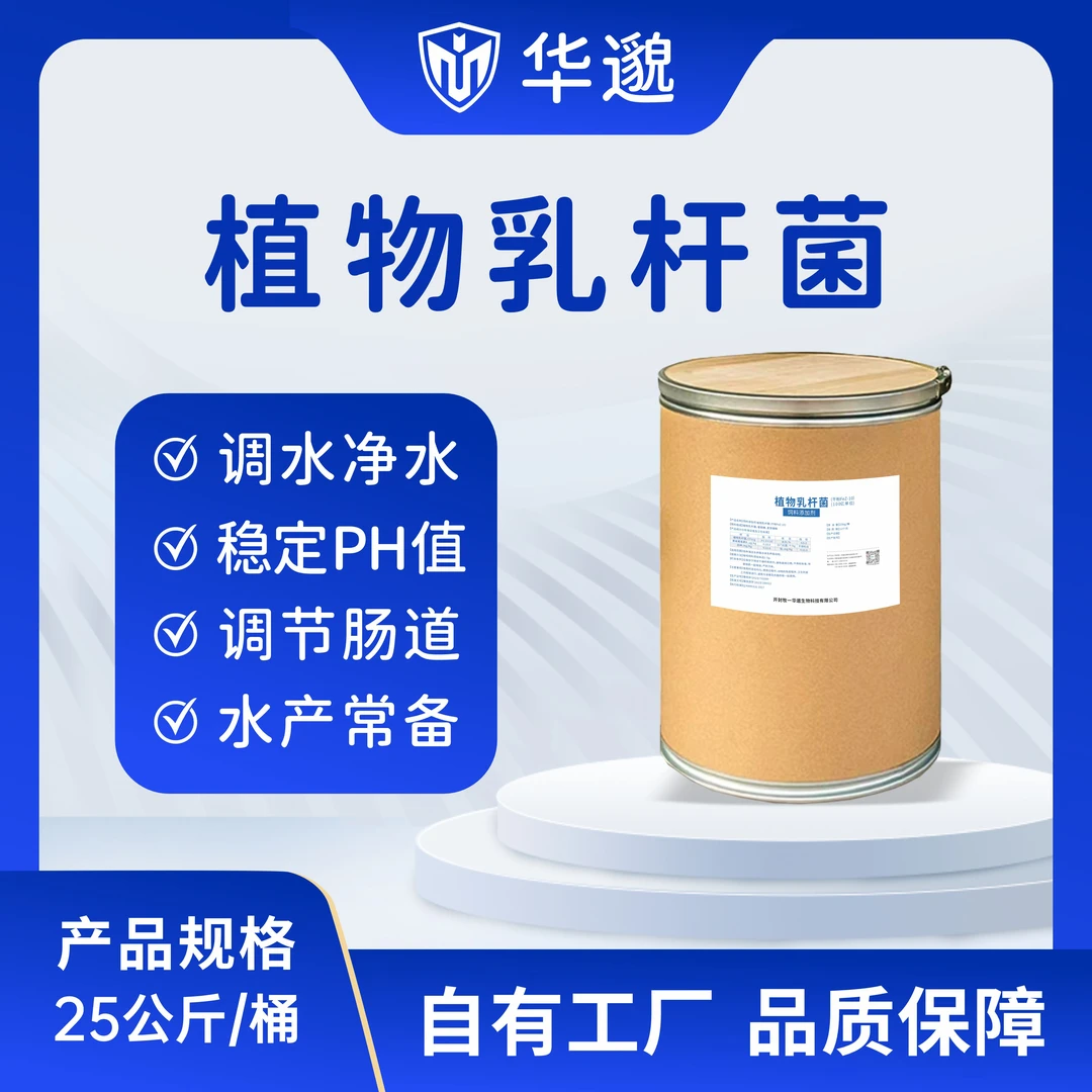 华邈植物乳杆菌原料饲料添加剂养殖常备