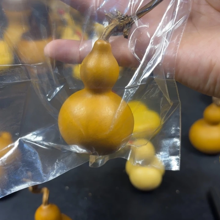 张*远哈哈哈哈哈哈哈哈葫芦