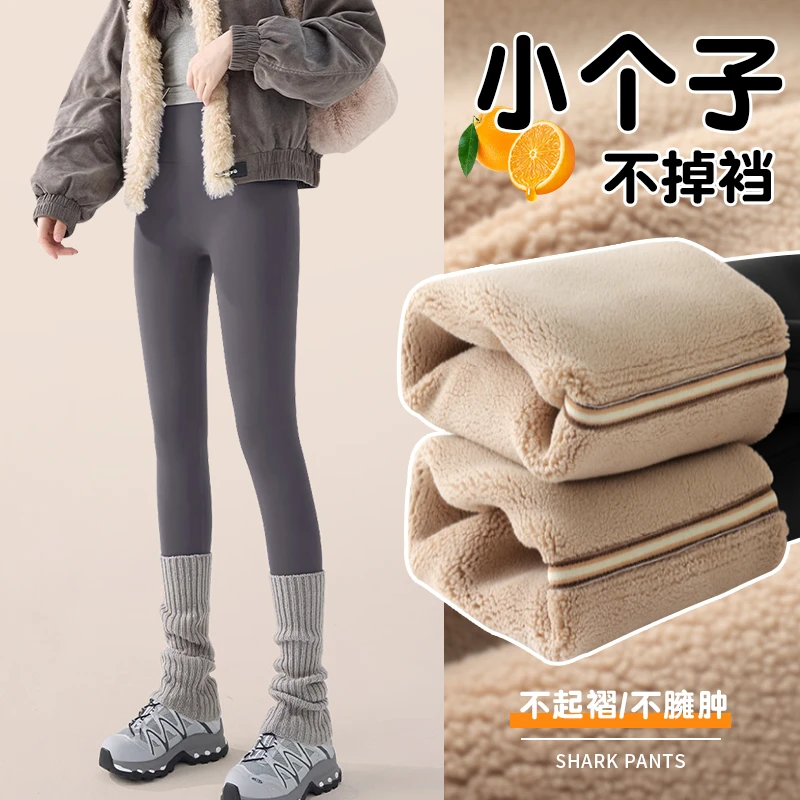小个子鲨鱼裤女外穿冬季加绒加厚八分打底裤高腰收腹保暖瑜伽裤子
