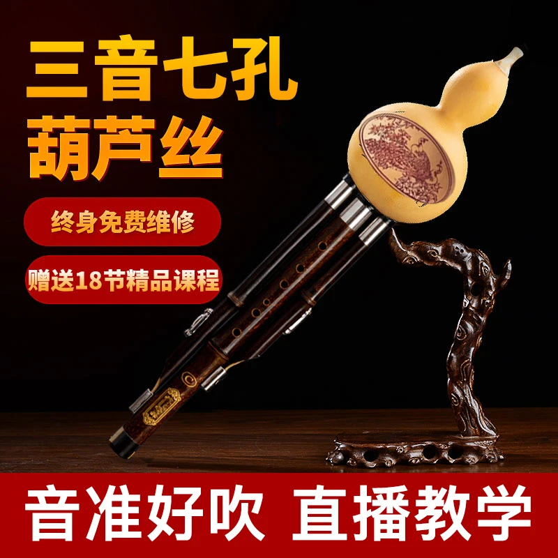 【董老师专享】葫芦丝降B调乐器入门初学7孔基础教程中老年