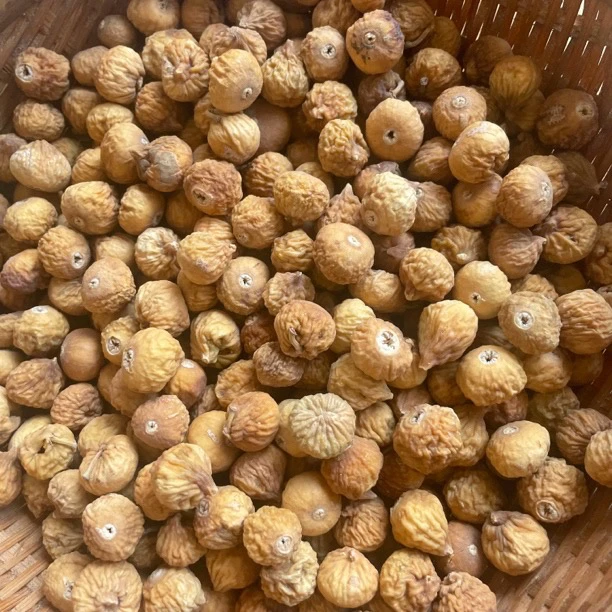 云南特产 精品无花果