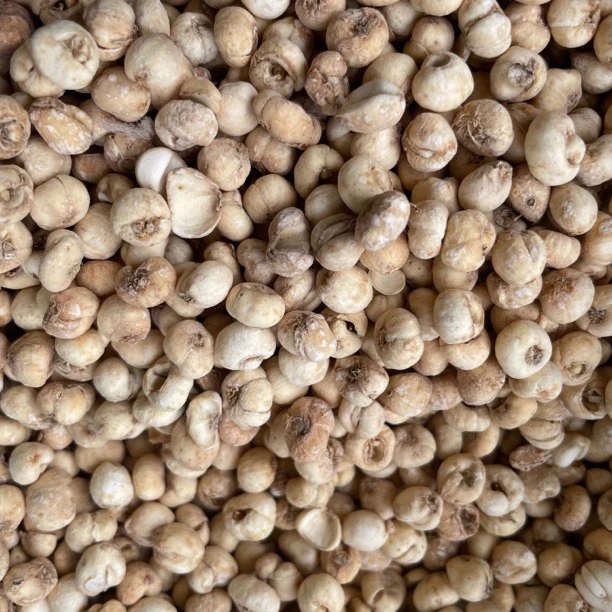 云南特长 边境高货 野 贝～姆