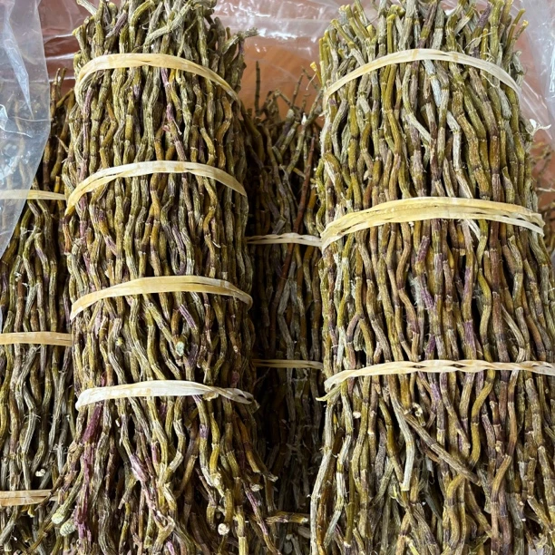 云南山货 野铁皮石斛