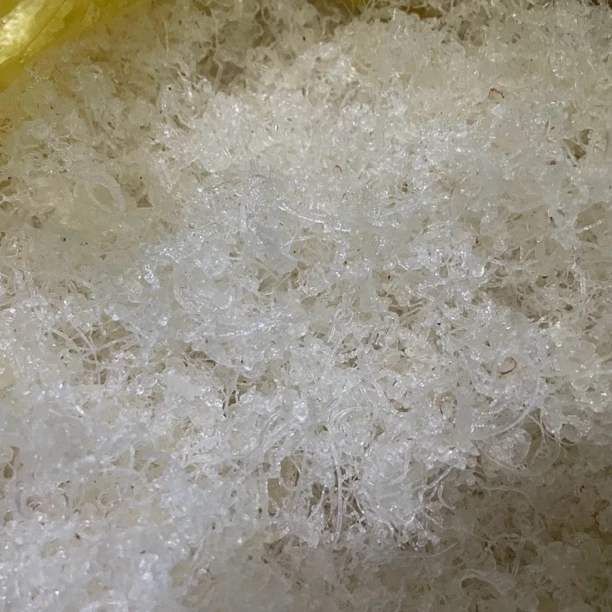 云南特产 野生 龙须血燕