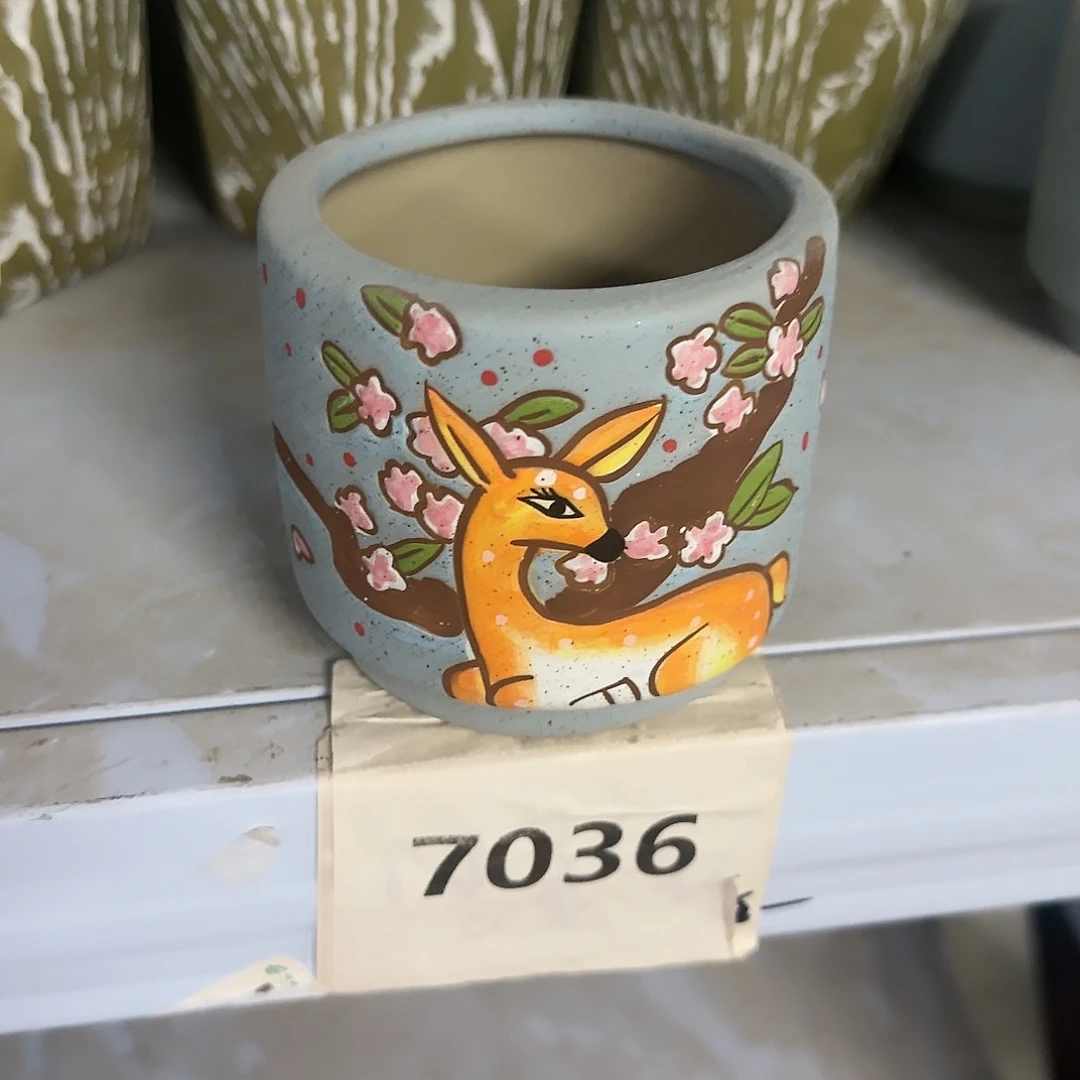 红陶20CM（含）-50CM（不含）
