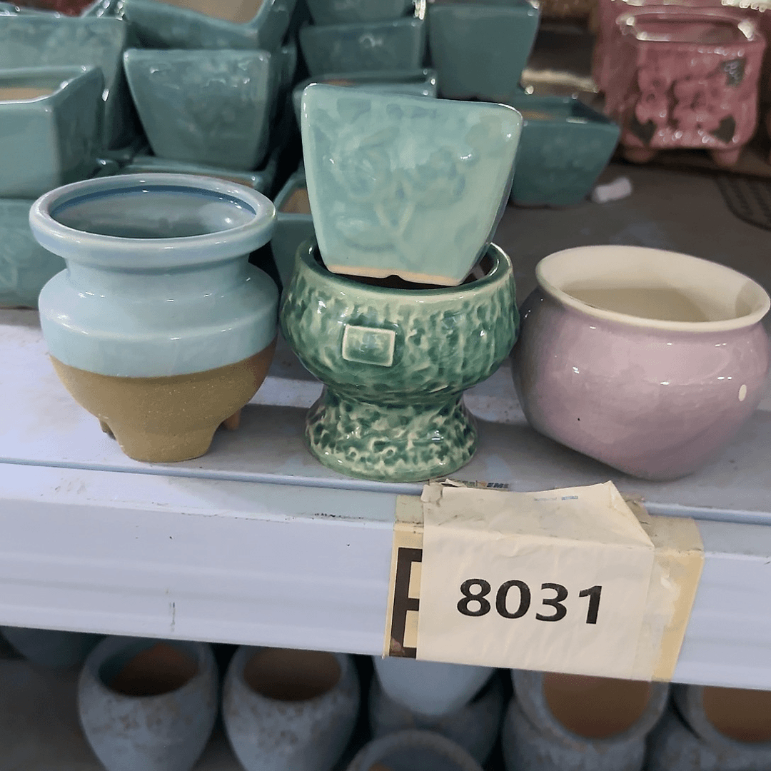 红陶20CM以下4个