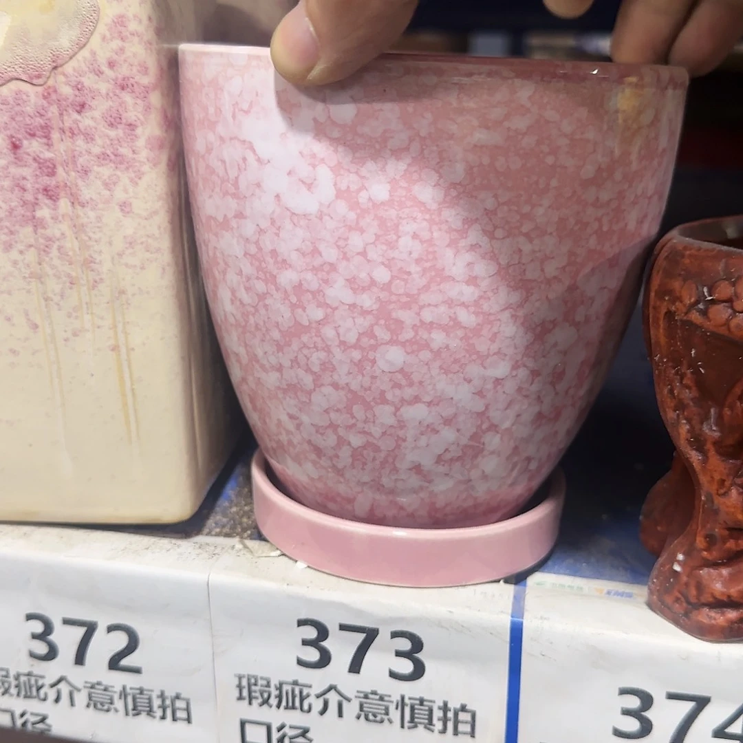 红陶20CM（含）-50CM（不含）