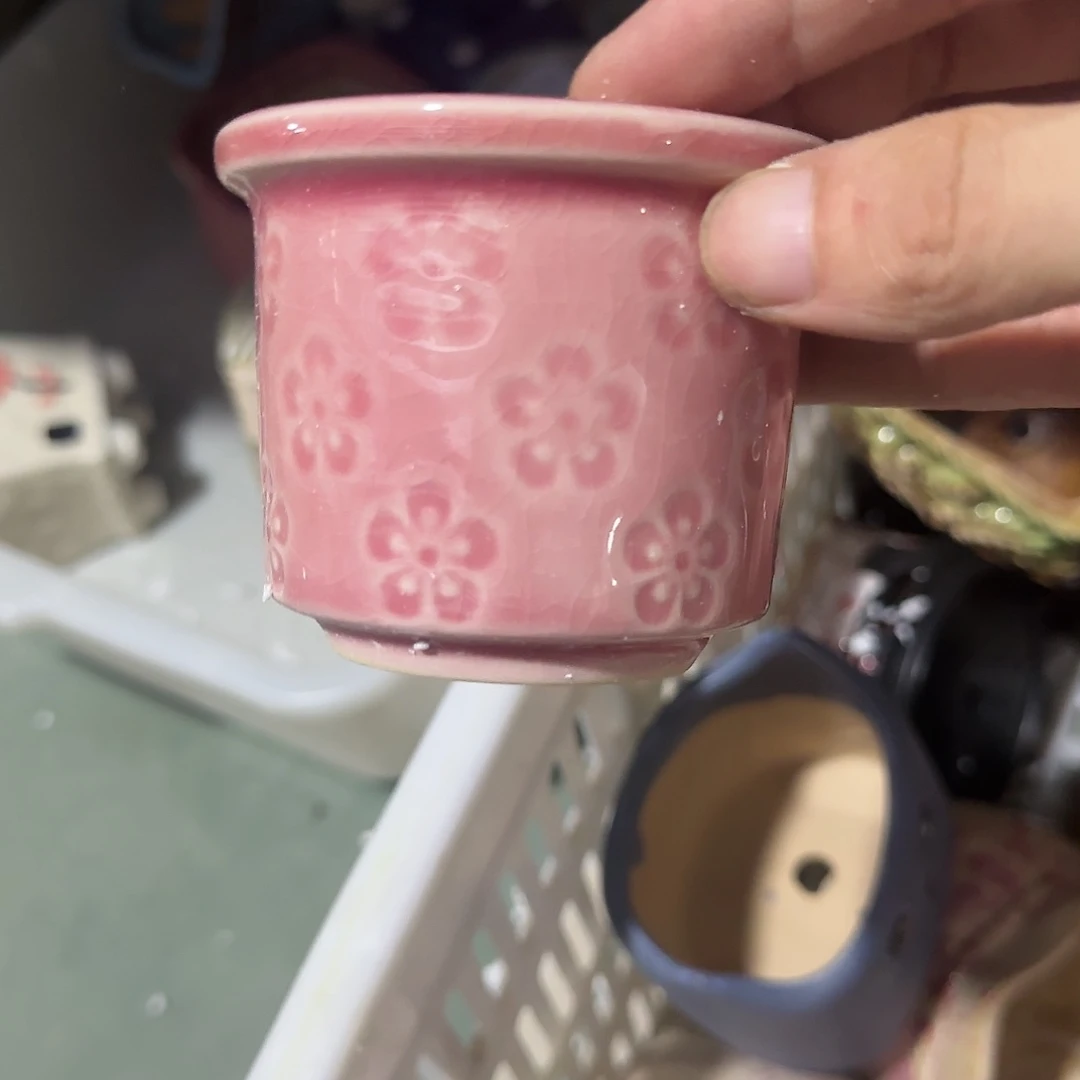 红陶20CM以下满9元包邮-听清口径·每个都有报